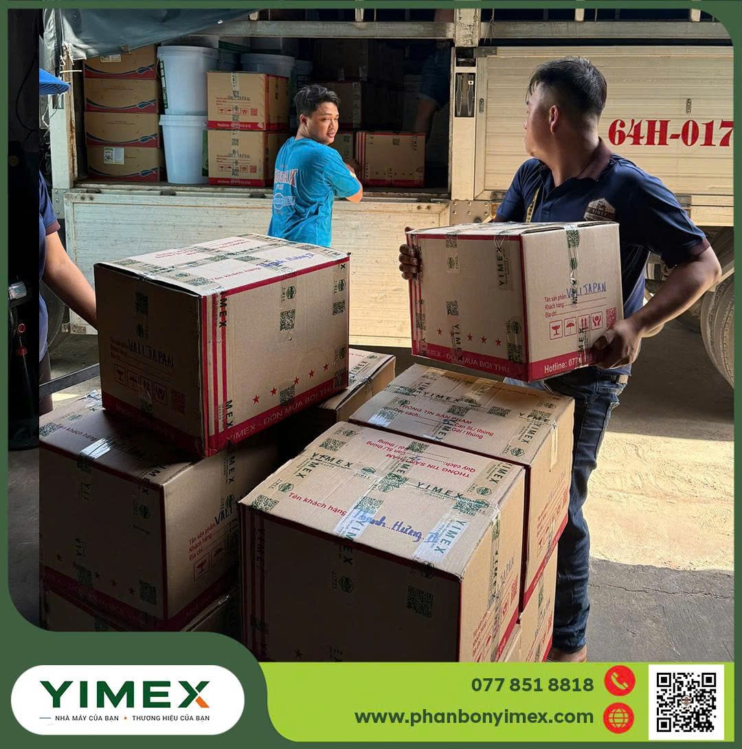 Bốc thùng carton lên xe — kinh doanh phân bón nhãn riêng